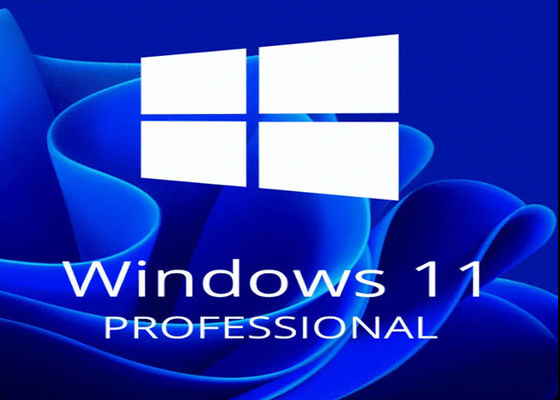 Windows 11 Pro Oem Retail 1User Activation Key