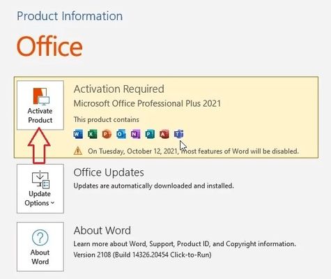 Genuine Office 2021 Pro Plus Bind Perpetual Use Multi Language License Code