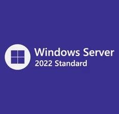 Windows Server 2022 Standard Mak 100 User Volume License Activation Key
