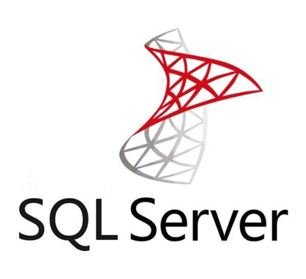 Sql 2022 std versatile data platform offering advanced indexing compression encryption and support for real time business analytics
