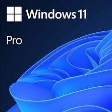 Windows 11 Pro Oem Retail 1User Activation Key
