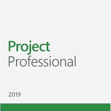 Project 2019 Professional Key 1 PC Lifetime Genuine Licenses Key