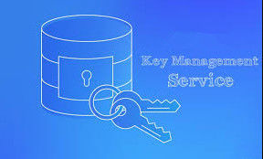 Windows Server 2022 Standard Key Management Service Host Activation Key
